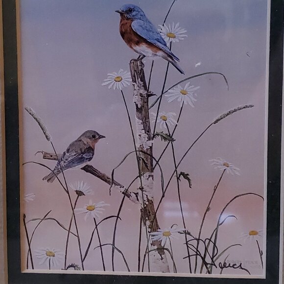 "Bluebirds & Daisies" Small Framed Print By Robert Pence - Picture 5 of 6